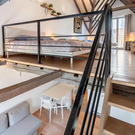 Tempel Cathedral In The Heart Of Apartment Antwerp