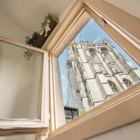 Tempel Cathedral In The Heart Of Lejlighed Antwerpen